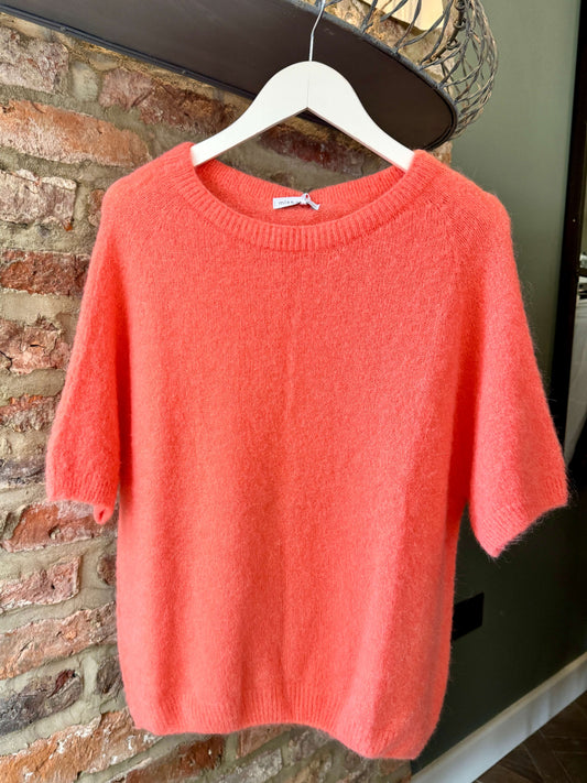 Molly Jumper | Coral
