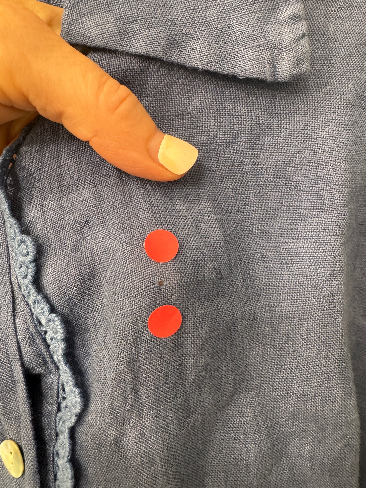 SECONDS - Lottie Blouse - Cornflower Blue